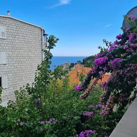 Deranja Ii Apartament *