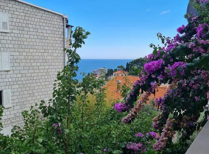 Deranja Ii Apartment *